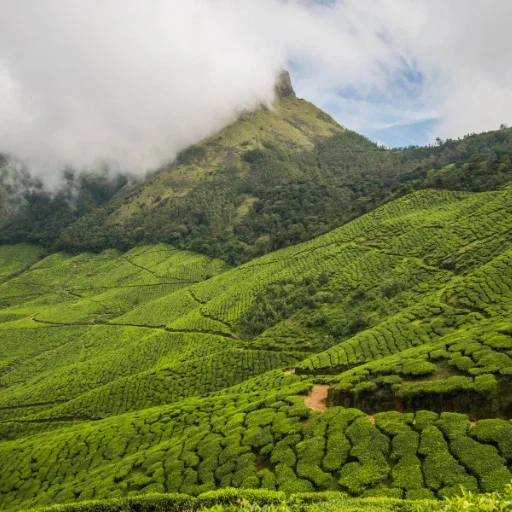 Kerala