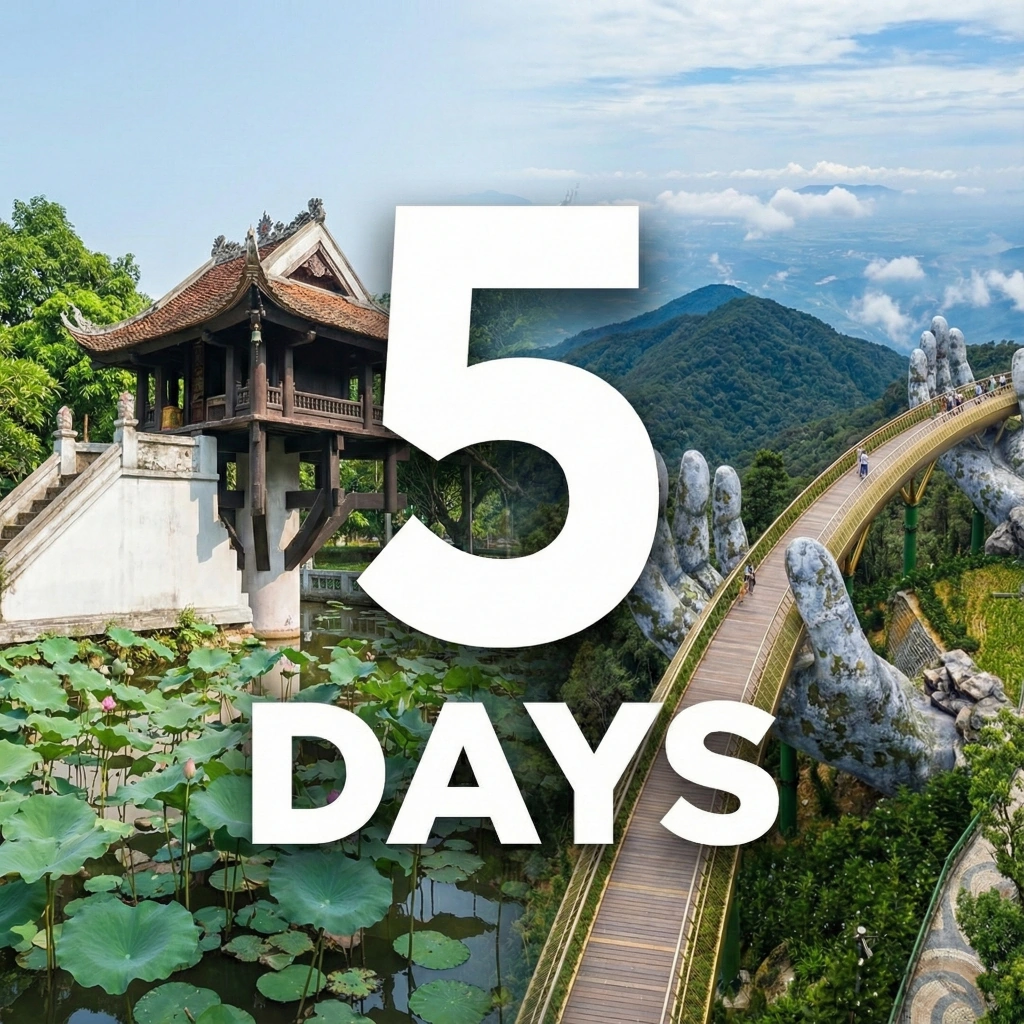 5 Days Tours